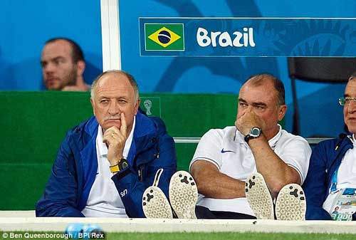 Brazil thảm bại 1-7: Lỗi đâu mình Scolari - 1