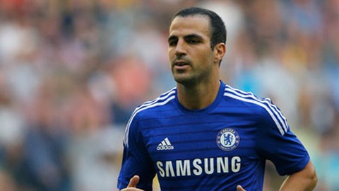 Fabregas hòa nhập quá nhanh, quá thuyết phục