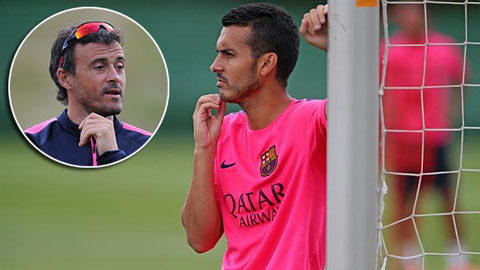 Enrique tính biến Pedro thành... hậu vệ Enrique tính biến Pedro thành... hậu vệ
