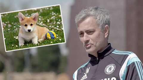 Mourinho từng đi tù vì... chó cưng Mourinho từng đi tù vì... chó cưng