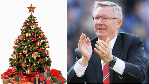 Cây thông Noel gắn mác Sir Alex hút khách